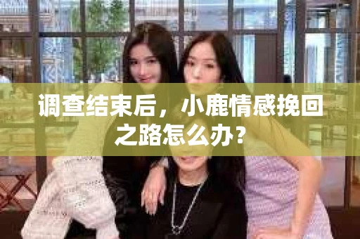 调查结束后，小鹿情感挽回之路怎么办？