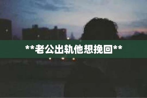 **老公出轨他想挽回**
