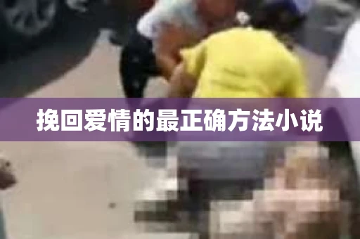 挽回爱情的最正确方法小说