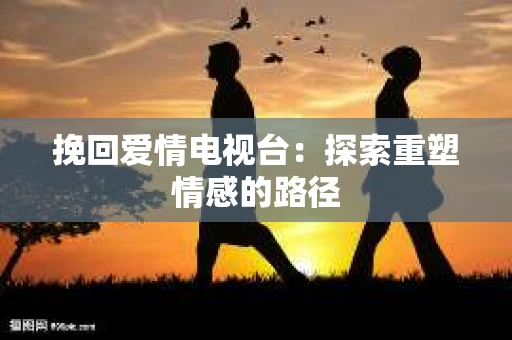 挽回爱情电视台：探索重塑情感的路径