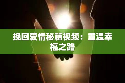 挽回爱情秘籍视频：重温幸福之路