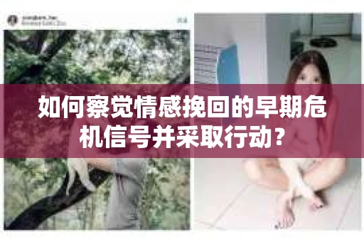 如何察觉情感挽回的早期危机信号并采取行动？