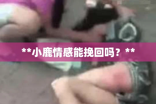 **小鹿情感能挽回吗？**