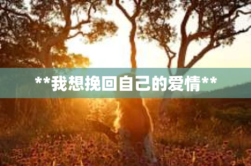 **我想挽回自己的爱情**
