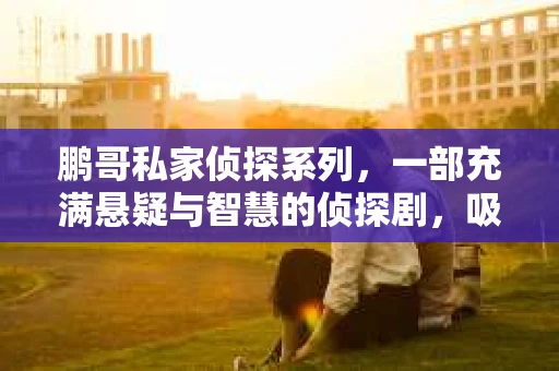 鹏哥私家侦探系列，一部充满悬疑与智慧的侦探剧，吸引了无数观众的眼球。今天，就让我带你走进这个充满神秘色彩的侦探世界，一起在线观看鹏哥私家侦探系列，感受那扣人心弦的故事情节。