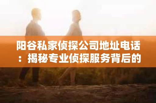 阳谷私家侦探公司地址电话：揭秘专业侦探服务背后的故事