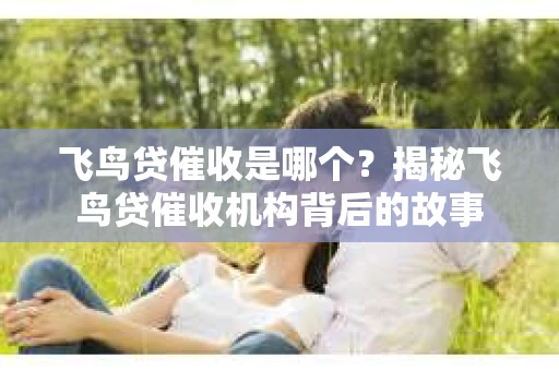 飞鸟贷催收是哪个？揭秘飞鸟贷催收机构背后的故事