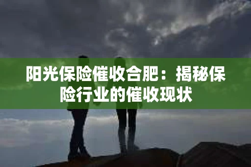 阳光保险催收合肥：揭秘保险行业的催收现状