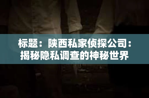 标题：陕西私家侦探公司：揭秘隐私调查的神秘世界