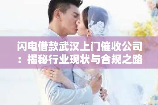 闪电借款武汉上门催收公司：揭秘行业现状与合规之路