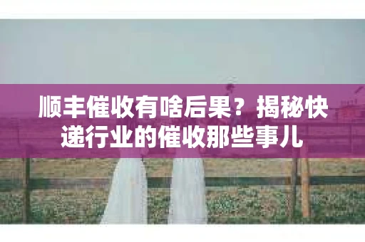 顺丰催收有啥后果？揭秘快递行业的催收那些事儿