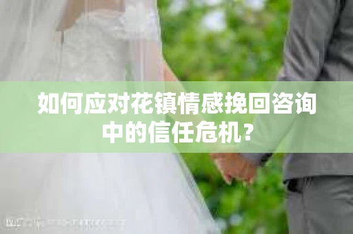 如何应对花镇情感挽回咨询中的信任危机？