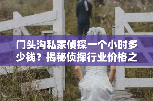 门头沟私家侦探一个小时多少钱？揭秘侦探行业价格之谜