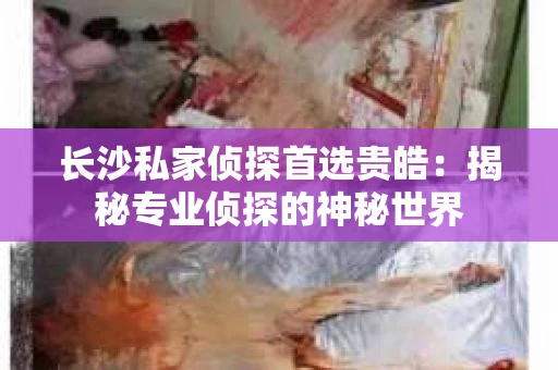 长沙私家侦探首选贵皓：揭秘专业侦探的神秘世界
