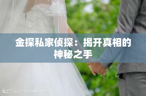 金探私家侦探：揭开真相的神秘之手