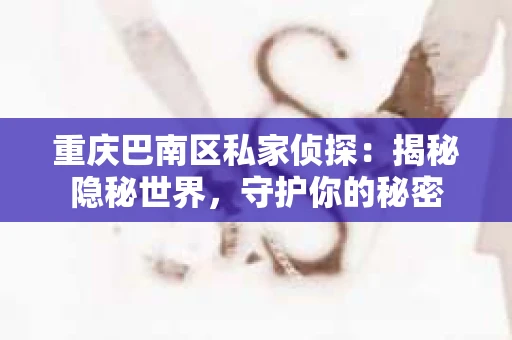 重庆巴南区私家侦探：揭秘隐秘世界，守护你的秘密