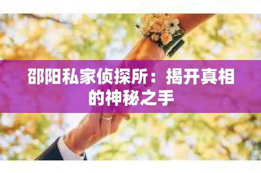 邵阳私家侦探所：揭开真相的神秘之手