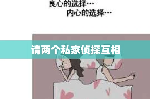 请两个私家侦探互相