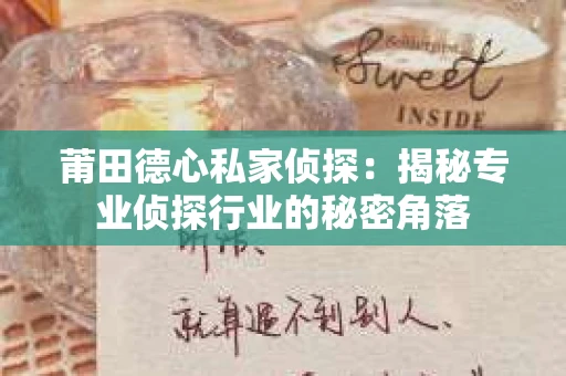 莆田德心私家侦探：揭秘专业侦探行业的秘密角落