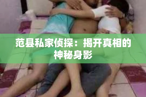 范县私家侦探：揭开真相的神秘身影