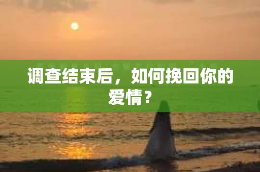 调查结束后，如何挽回你的爱情？
