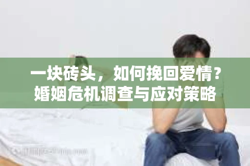一块砖头，如何挽回爱情？婚姻危机调查与应对策略