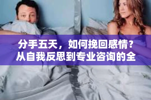 分手五天，如何挽回感情？从自我反思到专业咨询的全面解决方案