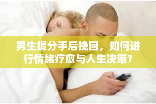 男生提分手后挽回，如何进行情绪疗愈与人生决策？