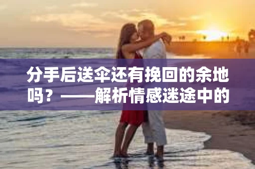 分手后送伞还有挽回的余地吗？——解析情感迷途中的决策