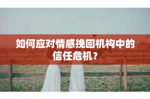 如何应对情感挽回机构中的信任危机？