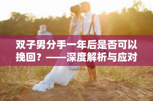 双子男分手一年后是否可以挽回？——深度解析与应对策略