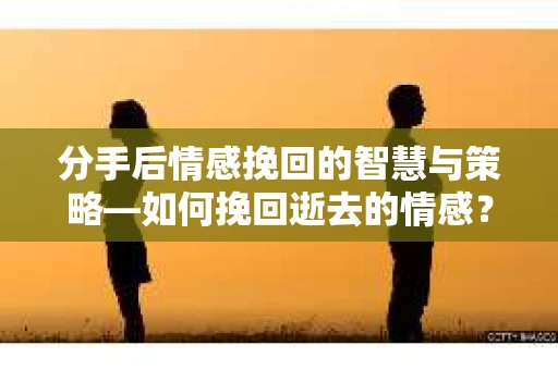 分手后情感挽回的智慧与策略—如何挽回逝去的情感？